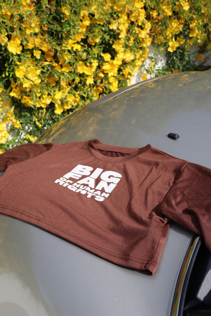 “Big Fan of Human Rights” Drop shoulder Oversized Crop Tee