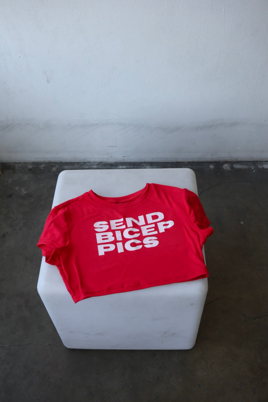 “Send Bicep Pics” Short Sleeve Crop