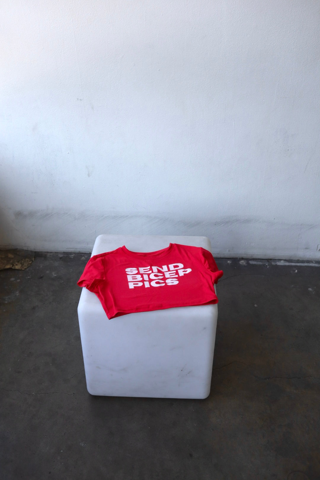 “Send Bicep Pics” Short Sleeve Crop