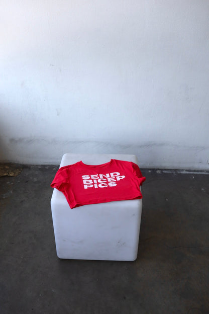 “Send Bicep Pics” Short Sleeve Crop