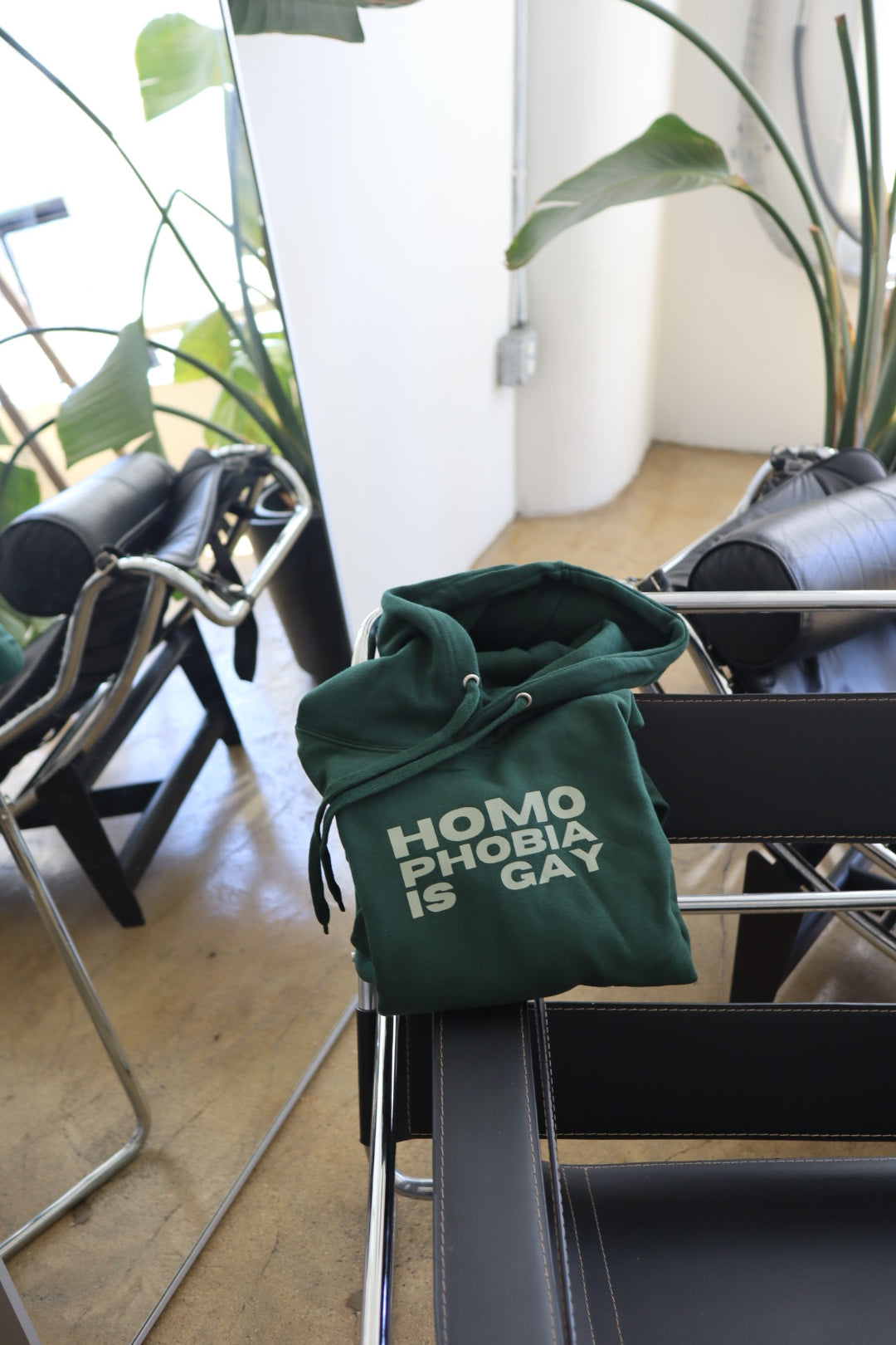 “Homophobia is Gay” Hoodie in Kale