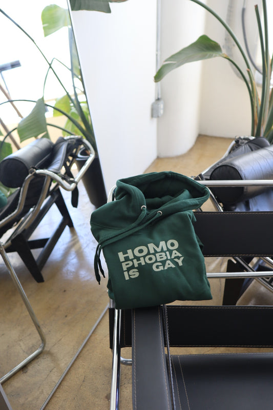 “Homophobia is Gay” Hoodie in Kale