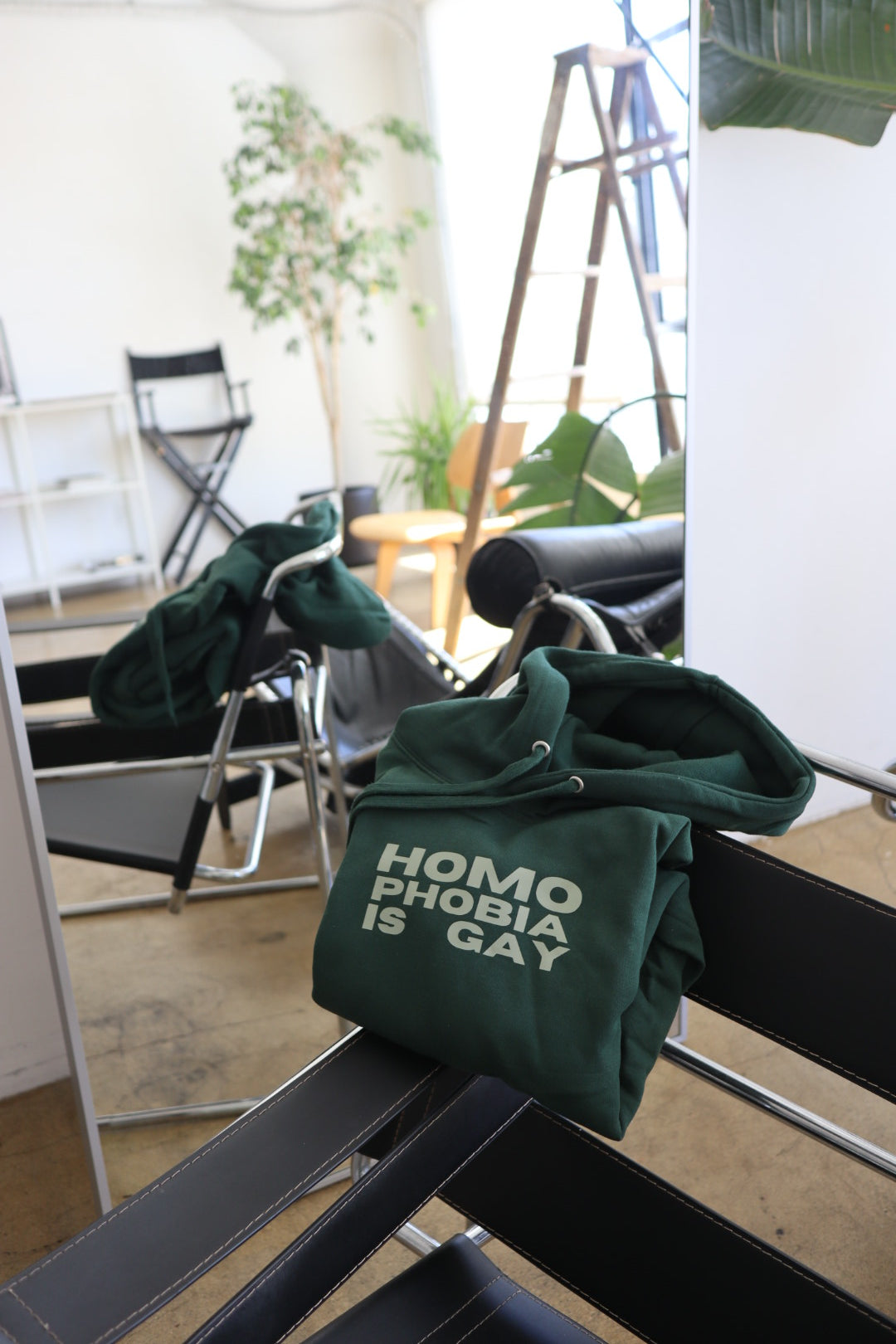“Homophobia is Gay” Hoodie in Kale