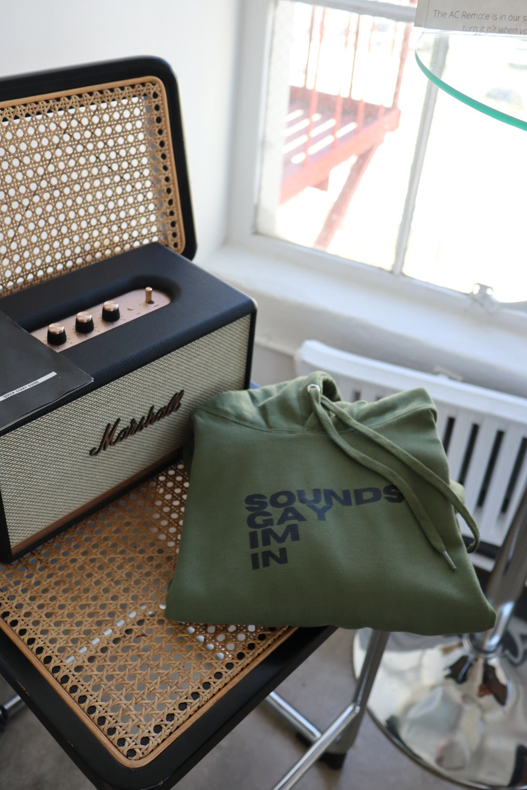 "Sounds Gay I’m In" Hoodie in Matcha